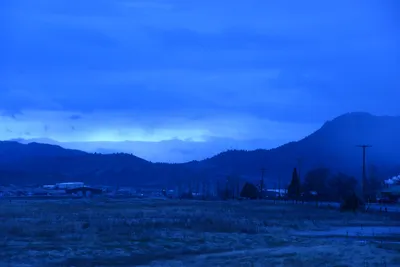 DSC_1126 (Large).JPG